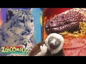 🔴 Zoboomafoo LIVE 24/7 🔴 BIG CATS | Zoboomafoo - WildBrain | Full Episodes for Kids