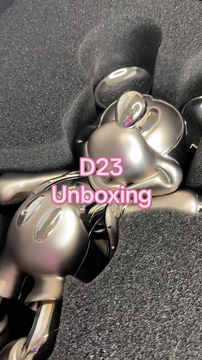 Officially a D23 Gold Member🩶😍 I am so obsessed and excited to bring you even better Disney content. Stay tuned for my journey🎀 #d23 #disney #disneyfanclub #disneyunboxing #unboxingmail #mailday #disneymerch #disneycreator