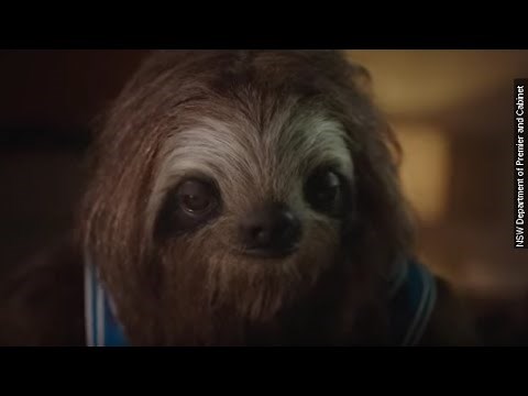 Australian Anti-Drug PSA Might Offend Teens And Sloths Alike - Newsy