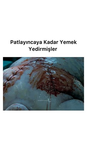 HD Film Canavarı on Instagram: "Kaliteli filmler için bizi (@hdfilmcanavari) takip edin Film; Seven Yedi” filmi, polisiye türünde harika bir başyapıt olarak karşımıza çıkıyor. Filmde, bir çaylak ve bir veteriner dedektifin, yedi ölümcül günahı motivasyon olarak kullanan bir seri katili takip etmeleri anlatılıyor. Başrollerde, dünya sinemasının yetenekli oyuncularından Brad Pitt ve Morgan Freeman’i izliyoruz. Pitt, genç ve enerjik bir dedektifi canlandırırken, Freeman ise tecrübeli bir dedektifin