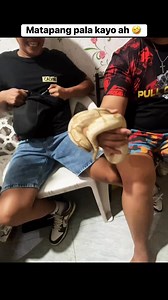 Bigboy meron palang Exotic pet Ball python | Big-Boy