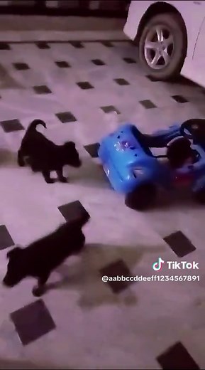 Shoaib khan123 على TikTok