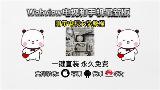 《年年精选》2026最新webview纯净版保姆级安装教程#webview #webview怎么下载 #webview2 #电视直播app #电视软件