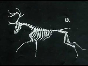 1 hour Heart shaped box Nirvana