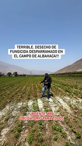 Como detener el problema de la contaminacion del suelo, nos estamos volviendo indiferentes a estas evidencias ambientales, las autoridad competente parece existir, se tiene que tomar medidas urgentes si queremos derener el circulo del veneno!!!! | Red de Acción en Agricultura Alternativa