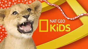 1.6K views · 52 reactions | Fun facts, amazing animals, cool science, and more. Nat Geo Kids has compiled some of the best content on YouTube for your family to explore. https://www.youtube.com/channel/UCXVCgDuD_QCkI7gTKU7-tpg | National Geographic Kids | Facebook