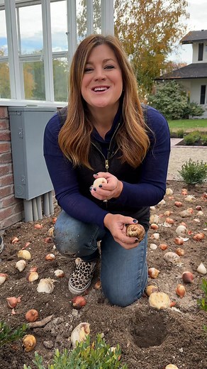 Flower bulbs go pointy side up! If you can’t figure it out, just plant them on their side and you’ll be fine! 😉 | Garden Answer