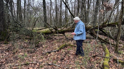 This man finds unmarked graves in historic Mississippi cemetery using dowsing rods