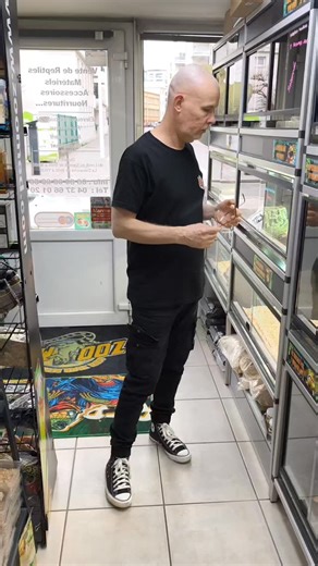 ReptilePassion - Le Magasin - on Instagram: "🕷️ Les acariens chez les reptiles : on fait la chasse… intelligemment ! 🐍🦎 Les acariens, ce sont un peu les vampires du terrarium 😅 Petits, discrets… mais clairement pas invités. 🎓 Dans cette vidéo, je t’explique les bases d’un traitement sérieux et raisonné : ✔️ Le Frontline et sa molécule fipronil, efficace contre les parasites externes ✔️ L' ivomec (ivermectine), utilisé selon les cas par voie orale ( peros ) ou en injection intramusculaire (