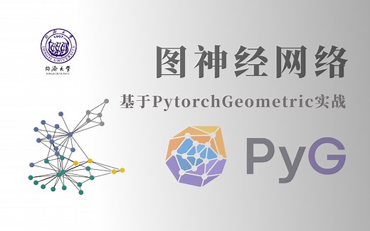 很强！我居然半个小时就学会了使用PyG库构建一个【图神经网络】，基于Pytorch Geometric实战，看完直呼过瘾！！（图神经GNN/深度学习/人工智能）