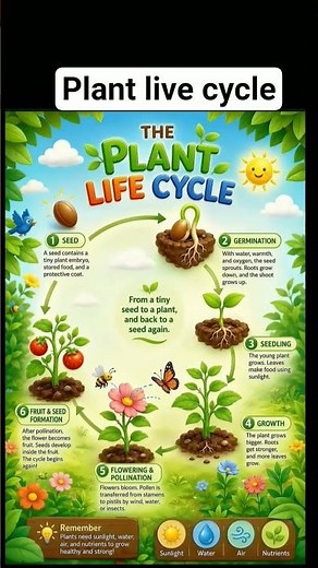 plant life cycle #lifecycle #agriculture #plants