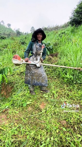 Máy cắt cỏ Stihl FS 561: Lựa chọn hoàn hảo