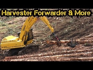Shovel Logging & Debranching | Sumitomo SH300 & Harvesttech S3000 Delimber