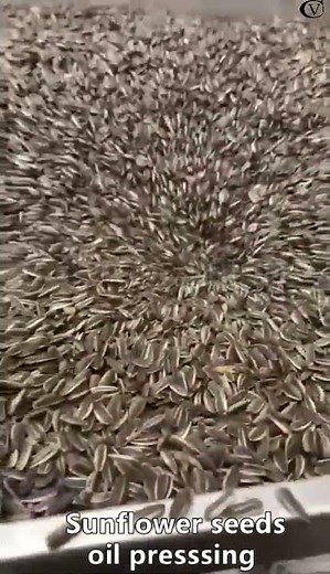 How to extract oil with a sunflower oil press machine？|Sunflower oil press machine