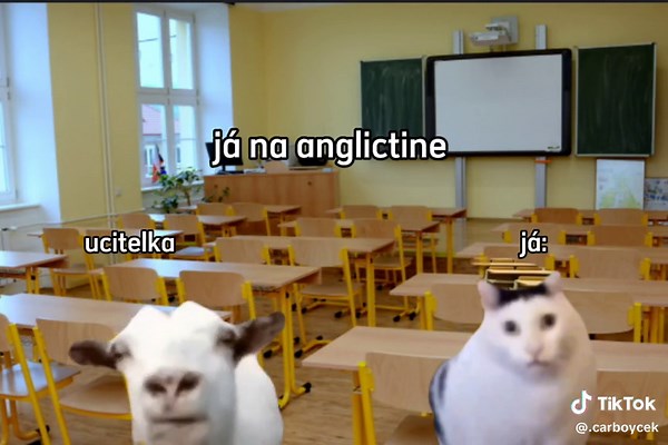 #Meme#fyp #viral