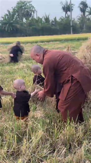 Thầy trò nhà cháu ra đồng lấy rơm ạ🙏🏻