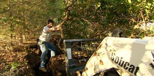 How to Transplant a Rhododendron