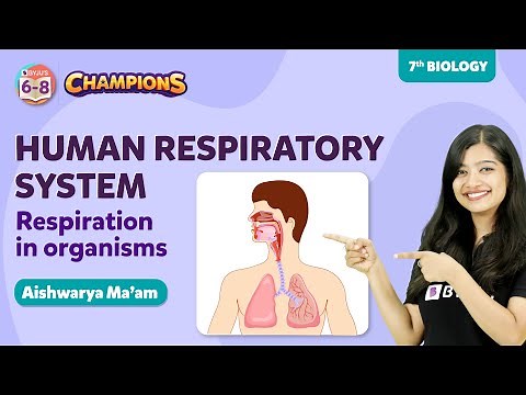 Human Respiratory System - Respiration in Organisms Class 7 Science Concept | BYJU'S - Class 7