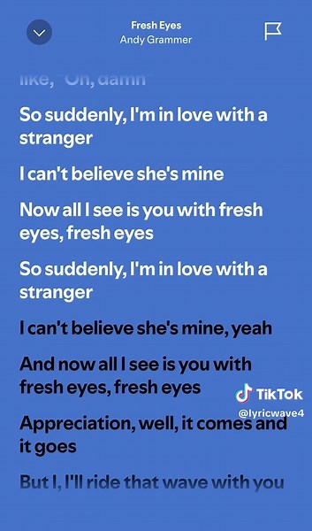 Fresh Eyes: The Catchy Tune by Andy Grammer