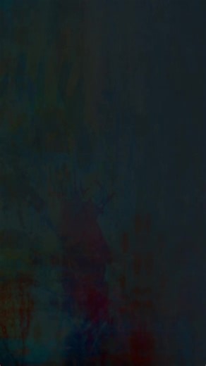 🚴‍♀️💫 Meet Firefly for Girls and Firevibe for Boys! 🚴‍♂️ 🔥New bikes from Firefox are here to make biking super cool and safe! 🚀 These bikes are like super-heroes with advanced safety, lightweight magic, and a super-duper strong alloy frame. Get ready to have tons of fun on the road! 🌟 #FireflyAndFirevibe #FunAndSafety #NewLaunch #EverydayAdventure | Firefox Bikes