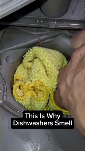 Why Your Dishwasher Isn’t Cleaning Properly (Check This First)