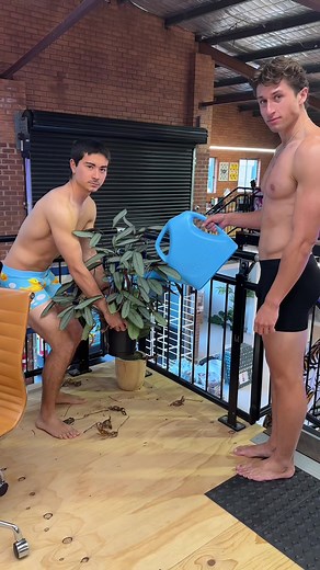 The Power of Bundles: Enhancing Your Style with Budgy Smuggler Leopard