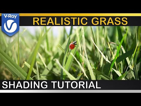 V-Ray | How to make nicer Grass