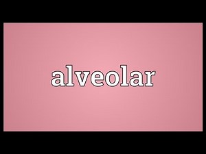Alveolar Meaning