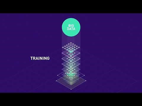 NVIDIA Tesla T4 Introduction to Inference