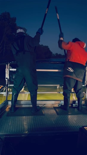 #walleyesfortomorrow#greenbaywalleye. Checking to see how productive the 2025 walleye spawn on Green Bay was. | Walleyes for Tomorrow “Bay of Green Bay”