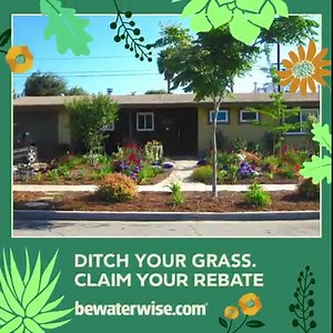 Now's the time to start planning for beautiful garden blooms with the Turf Replacement Program. Replace your lawn with water efficient #CAFriendly and native plants and get $2 (or more) per sqft of grass converted. Learn more at bewaterwise.com. | Metropolitan Water District of Southern California