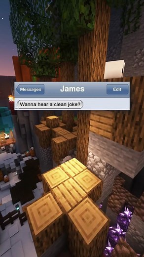 Text Messages! #textmessage #fyp #minecraft