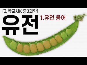 [중3과학] Ⅴ.생식과 유전 - 2-1.유전 용어