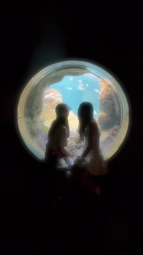 江ノ島水族館での楽しい一日