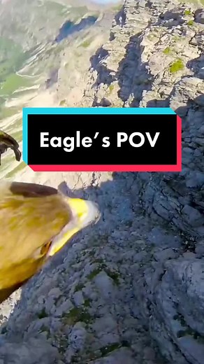 Eagle's POV: Stunning Perspective of Flying Eagle