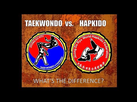 What Is the Difference Between Taekwondo and Hapkido?