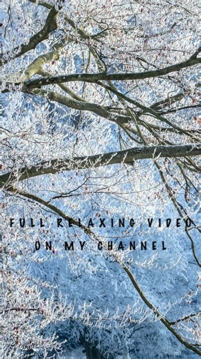 Winter Snowfall Loop ❄️ Calm & Relaxing Nature Ambience #shorts