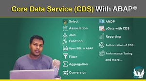 Core Data Service(CDS) Professional Development With ABAP®