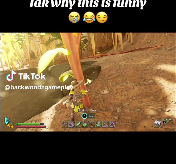 Funny Moments in Grounded Gameplay