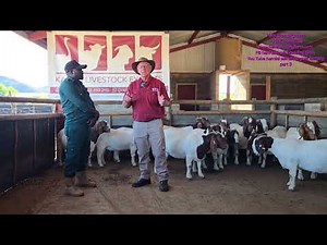 The master class of goat farming Secret behind the feeding and management of goats in south africa