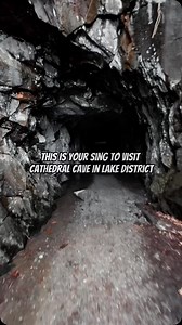 15K views · 73 reactions | This is your sign to visit one of the best...