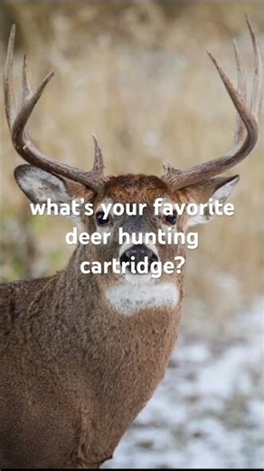Mine is 30-06 #deerhunting #deer #hunting #riflehunting #countrymusic