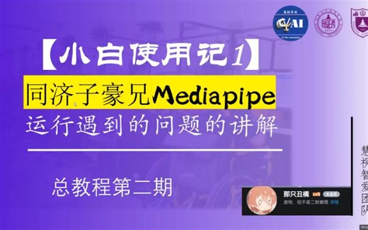 【第二期】同济子豪兄Mediapipe运行问题解决分享