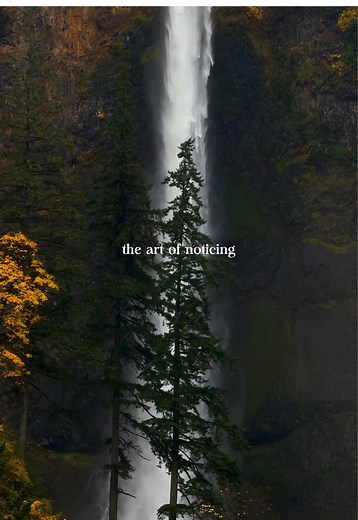 The Art of Noticing in Everyday Life