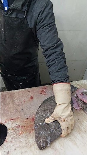 Cleaning Flounder. Can I do it properly (Quick & Easy)