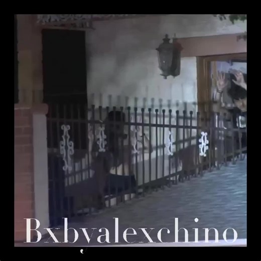 𝓕𝓲𝓻𝓼𝓽 𝓮𝓿𝓮𝓻 𝓐𝓵𝓮𝔁 𝓒𝓱𝓲𝓷𝓸 𝓔𝓭𝓲𝓽 | #alexchino #edit #fyp #viral #alexchinoedit | @chino🪐 @Guapo | Editing app : Blurrr|