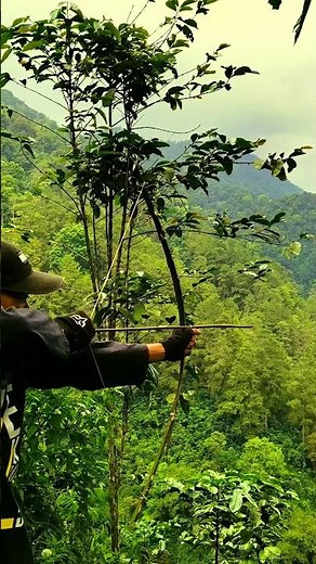 This homemade bow actually works #survival #DIY