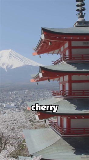 Japan Cherry Blossoms at Shrines 🌸 Fushimi Inari & Mount Fuji Spring Guide