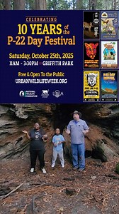 1.7K views · 29 reactions | This year, Griff, Jasmine, and Simba are...