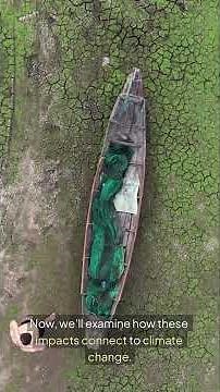 Understanding Environmental Impacts: What You Need to Know #environment